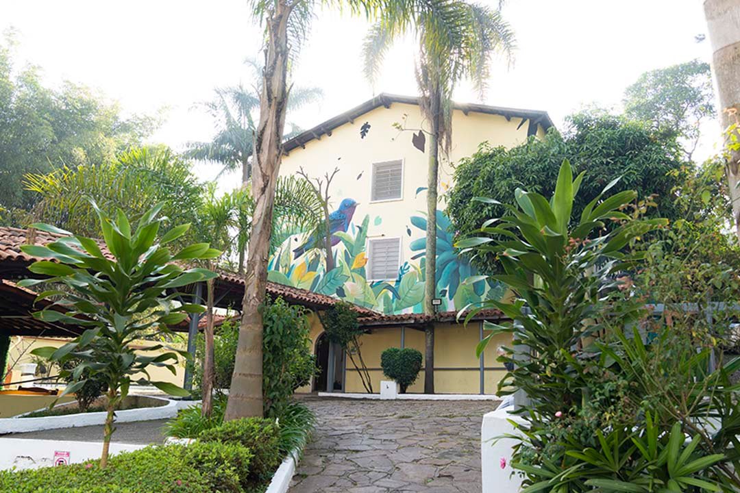 maia-tus-sobre-imagem-2